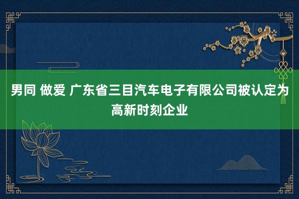 男同 做爱 广东省三目汽车电子有限公司被认定为高新时刻企业