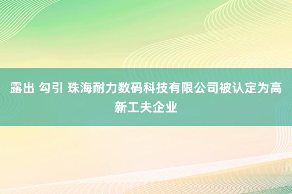 露出 勾引 珠海耐力数码科技有限公司被认定为高新工夫企业