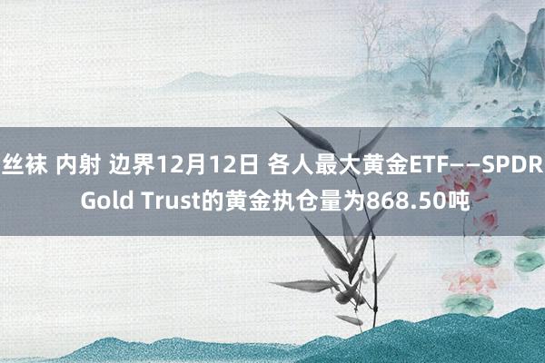 丝袜 内射 边界12月12日 各人最大黄金ETF——SPDR Gold Trust的黄金执仓量为868.50吨