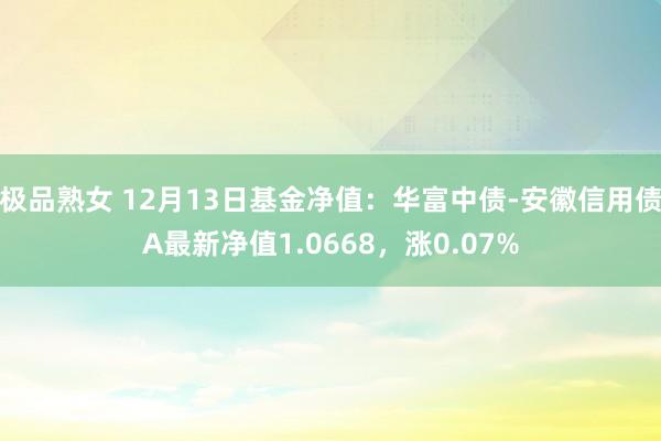 极品熟女 12月13日基金净值：华富中债-安徽信用债A最新净值1.0668，涨0.07%