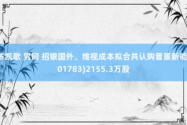 陈凯歌 男同 招银国外、维视成本拟合共认购晋景新能(01783)2155.3万股