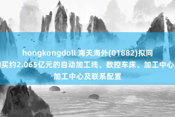 hongkongdoll 海天海外(01882)拟向海天精工购买约2.065亿元的自动加工线、数控车床、加工中心及联系配置