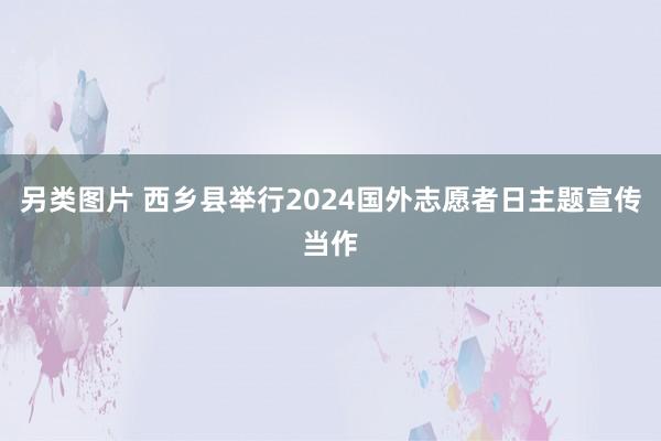 另类图片 西乡县举行2024国外志愿者日主题宣传当作