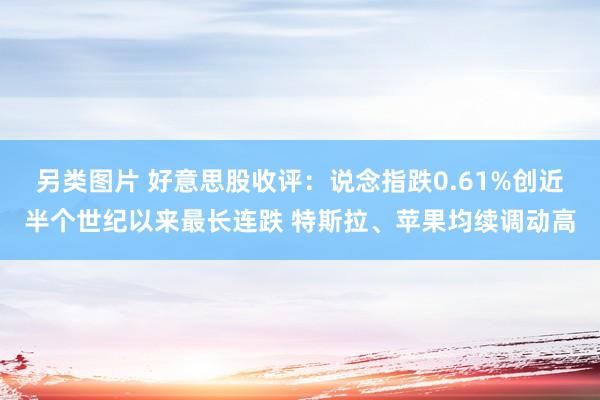 另类图片 好意思股收评：说念指跌0.61%创近半个世纪以来最长连跌 特斯拉、苹果均续调动高