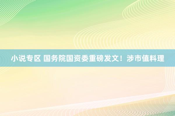 小说专区 国务院国资委重磅发文！涉市值料理