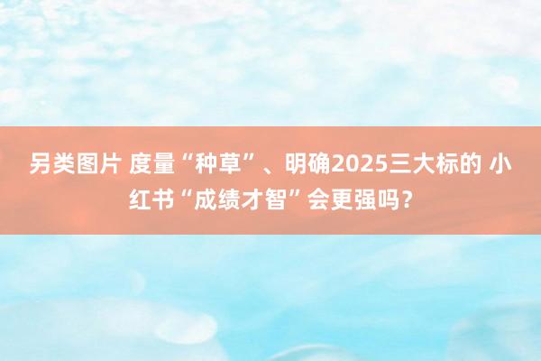 另类图片 度量“种草”、明确2025三大标的 小红书“成绩才智”会更强吗？