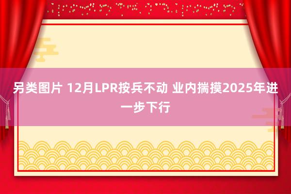 另类图片 12月LPR按兵不动 业内揣摸2025年进一步下行