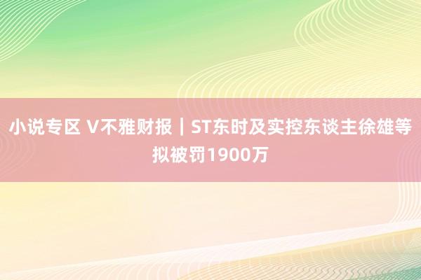 小说专区 V不雅财报｜ST东时及实控东谈主徐雄等拟被罚1900万