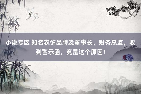 小说专区 知名衣饰品牌及董事长、财务总监，收到警示函，竟是这个原因！