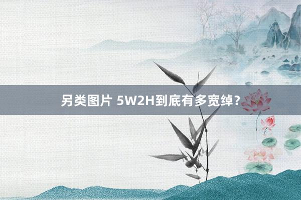 另类图片 5W2H到底有多宽绰？