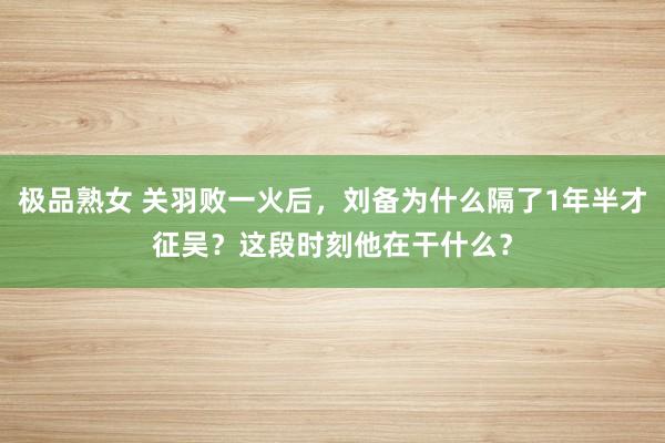 极品熟女 关羽败一火后，刘备为什么隔了1年半才征吴？这段时刻他在干什么？