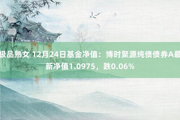 极品熟女 12月24日基金净值：博时聚源纯债债券A最新净值1.0975，跌0.06%