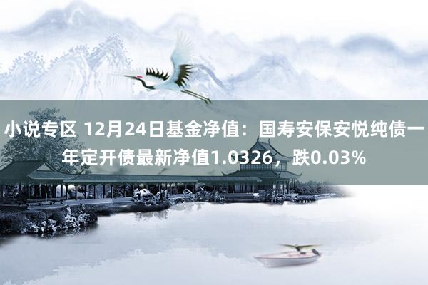 小说专区 12月24日基金净值：国寿安保安悦纯债一年定开债最新净值1.0326，跌0.03%