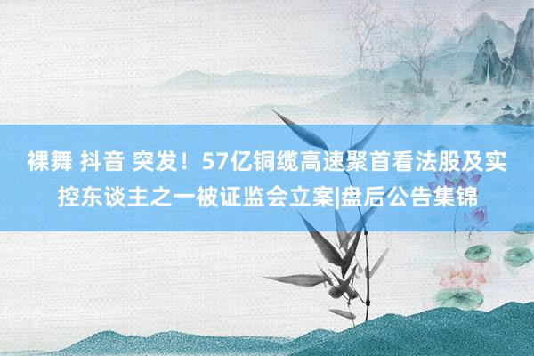 裸舞 抖音 突发！57亿铜缆高速聚首看法股及实控东谈主之一被证监会立案|盘后公告集锦