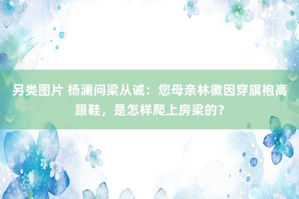 另类图片 杨澜问梁从诫：您母亲林徽因穿旗袍高跟鞋，是怎样爬上房梁的？