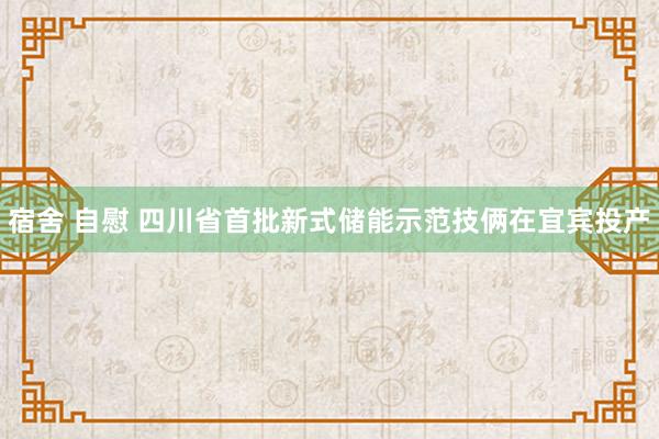 宿舍 自慰 四川省首批新式储能示范技俩在宜宾投产