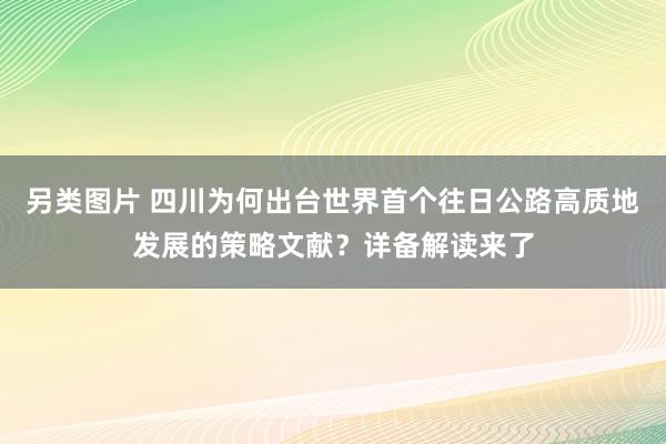 另类图片 四川为何出台世界首个往日公路高质地发展的策略文献？详备解读来了