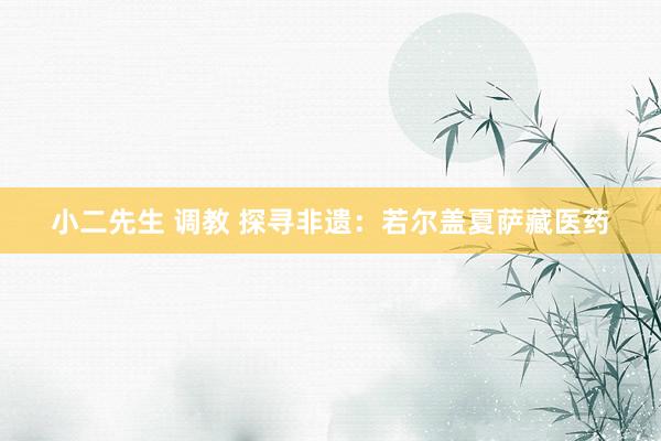 小二先生 调教 探寻非遗：若尔盖夏萨藏医药