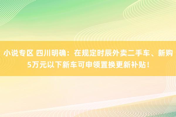 小说专区 四川明确：在规定时辰外卖二手车、新购5万元以下新车可申领置换更新补贴！