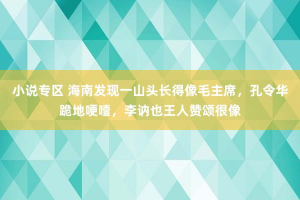 小说专区 海南发现一山头长得像毛主席，孔令华跪地哽噎，李讷也王人赞颂很像