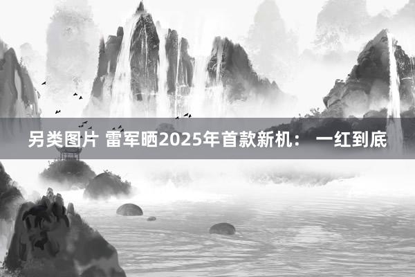 另类图片 雷军晒2025年首款新机： 一红到底