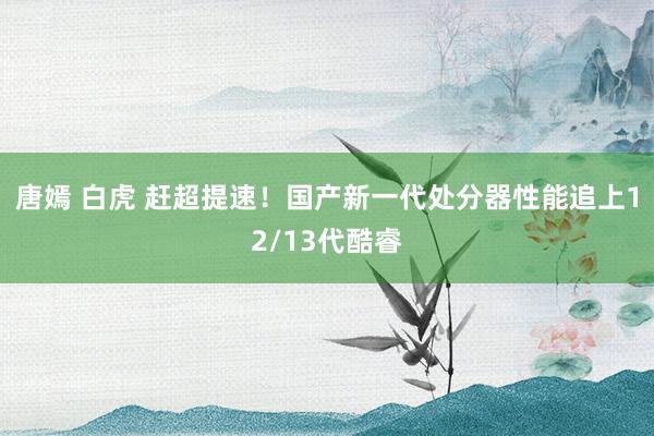 唐嫣 白虎 赶超提速！国产新一代处分器性能追上12/13代酷睿