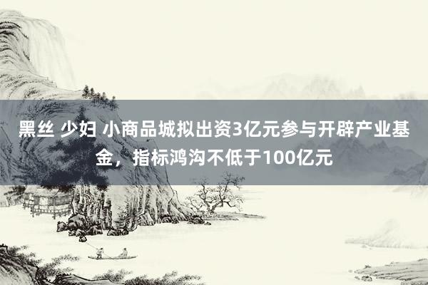 黑丝 少妇 小商品城拟出资3亿元参与开辟产业基金，指标鸿沟不低于100亿元