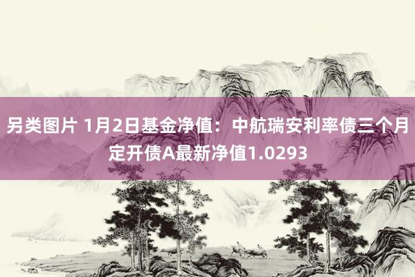 另类图片 1月2日基金净值：中航瑞安利率债三个月定开债A最新净值1.0293