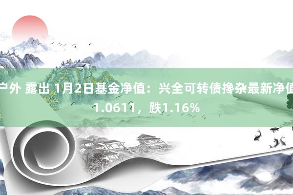 户外 露出 1月2日基金净值：兴全可转债搀杂最新净值1.0611，跌1.16%