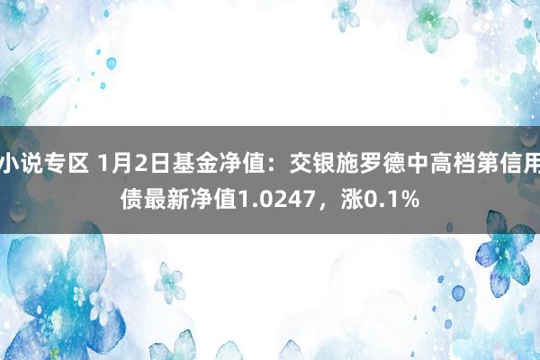 小说专区 1月2日基金净值：交银施罗德中高档第信用债最新净值1.0247，涨0.1%