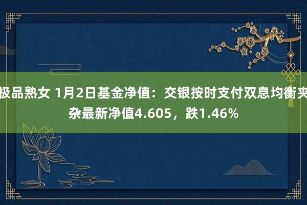 极品熟女 1月2日基金净值：交银按时支付双息均衡夹杂最新净值4.605，跌1.46%