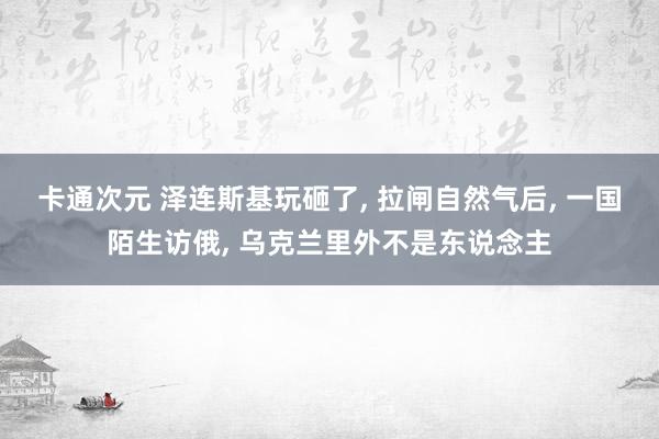 卡通次元 泽连斯基玩砸了， 拉闸自然气后， 一国陌生访俄， 乌克兰里外不是东说念主