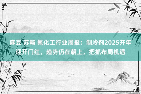 麻豆 苏畅 氟化工行业周报：制冷剂2025开年迎开门红，趋势仍在朝上，把抓布局机遇