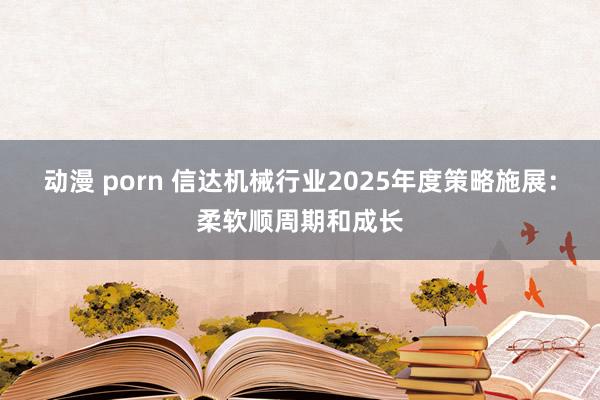 动漫 porn 信达机械行业2025年度策略施展：柔软顺周期和成长