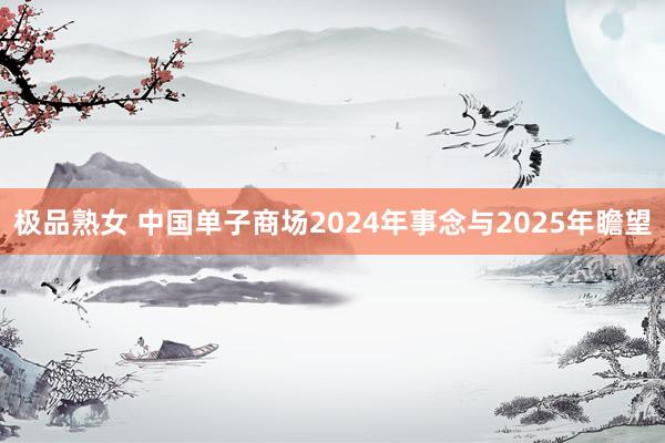 极品熟女 中国单子商场2024年事念与2025年瞻望