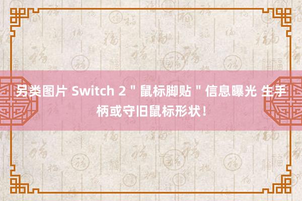 另类图片 Switch 2＂鼠标脚贴＂信息曝光 生手柄或守旧鼠标形状！