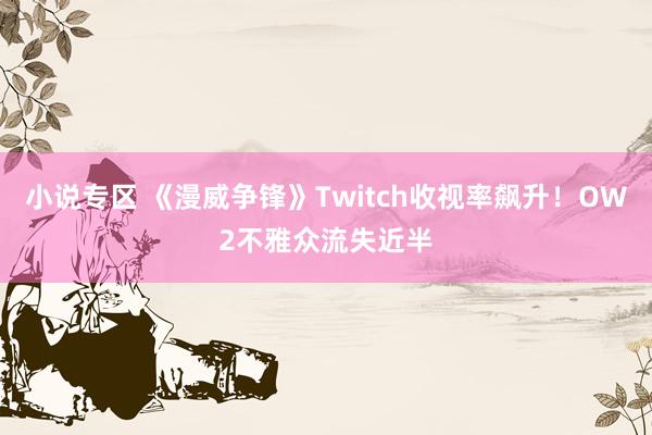 小说专区 《漫威争锋》Twitch收视率飙升！OW2不雅众流失近半