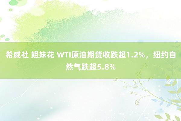 希威社 姐妹花 WTI原油期货收跌超1.2%，纽约自然气跌超5.8%