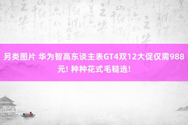 另类图片 华为智高东谈主表GT4双12大促仅需988元! 种种花式毛糙选!