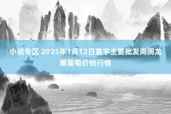 小说专区 2025年1月12日寰宇主要批发阛阓龙眼葡萄价钱行情