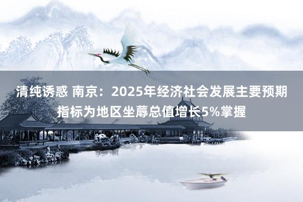 清纯诱惑 南京：2025年经济社会发展主要预期指标为地区坐蓐总值增长5%掌握