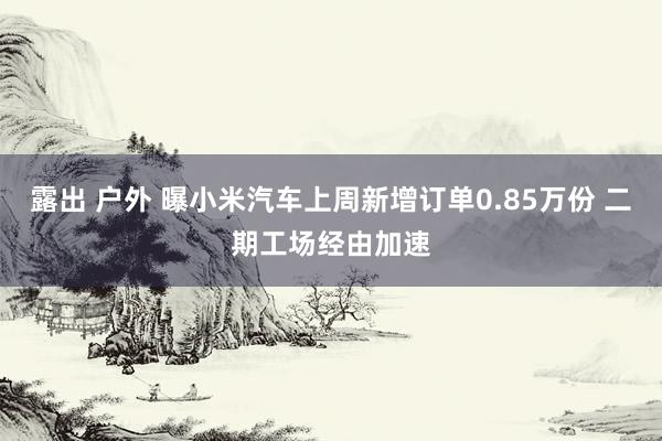 露出 户外 曝小米汽车上周新增订单0.85万份 二期工场经由加速