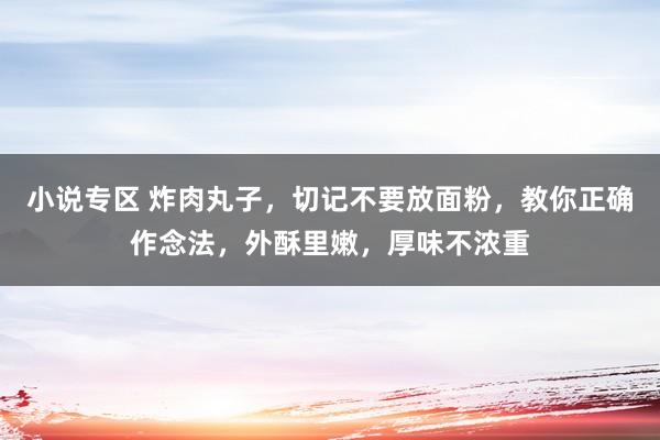 小说专区 炸肉丸子，切记不要放面粉，教你正确作念法，外酥里嫩，厚味不浓重