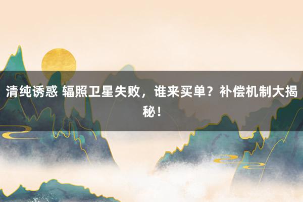 清纯诱惑 辐照卫星失败，谁来买单？补偿机制大揭秘！