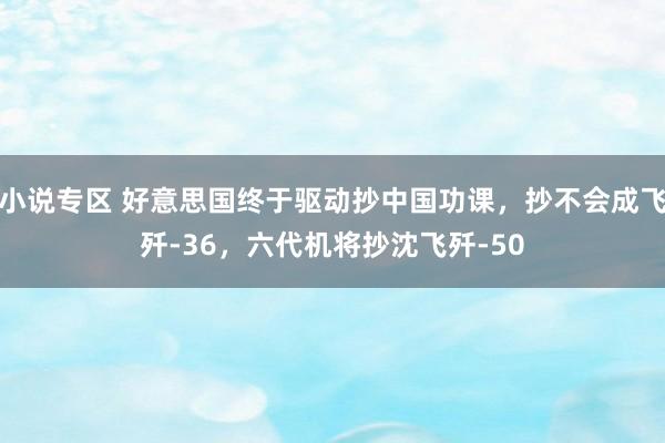 小说专区 好意思国终于驱动抄中国功课，抄不会成飞歼-36，六代机将抄沈飞歼-50